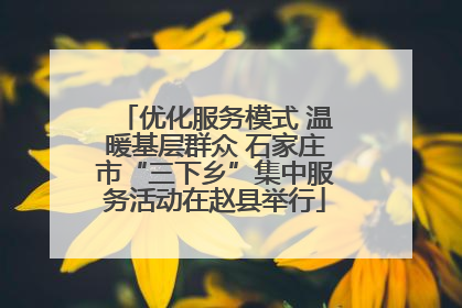 优化服务模式 温暖基层群众 石家庄市“三下乡”集中服务活动在赵县举行